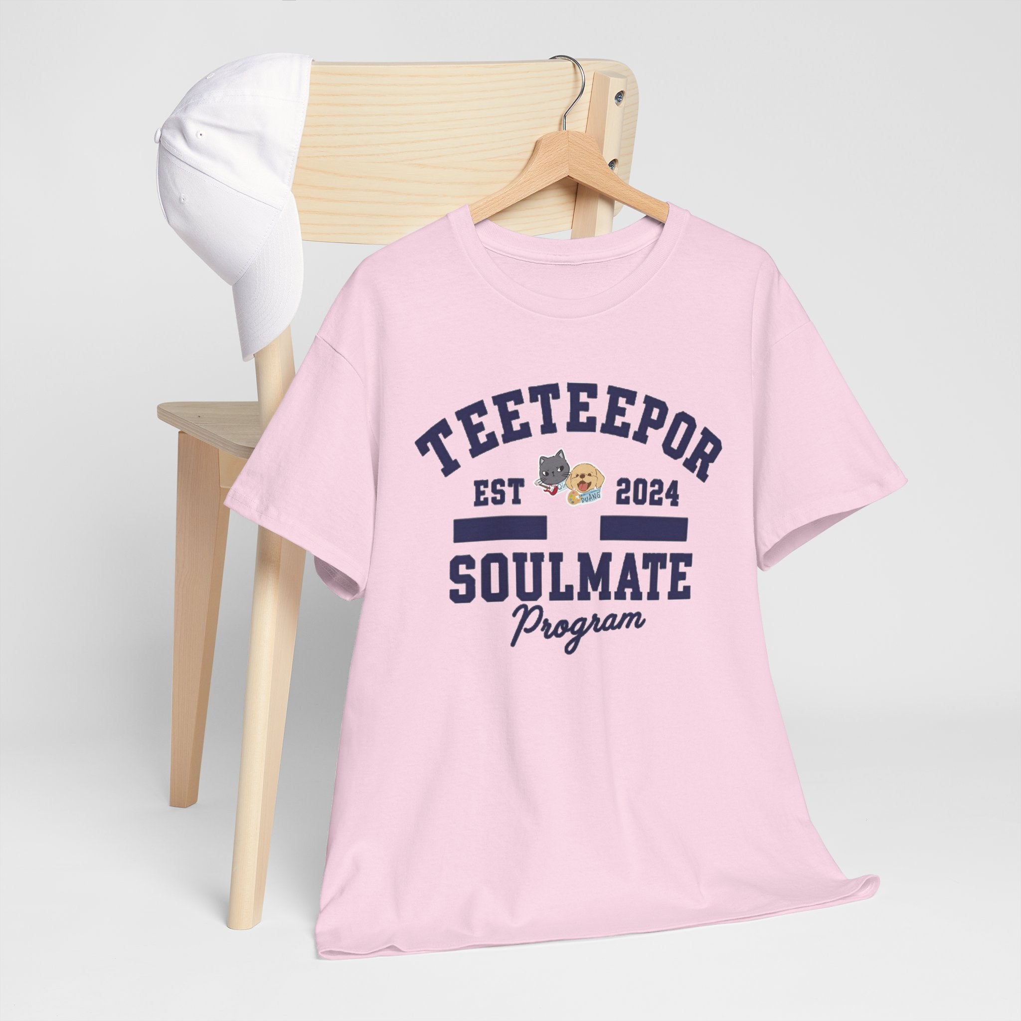 Light Pink TeeteePor Soulmate Program varsity tee on a wooden hanger